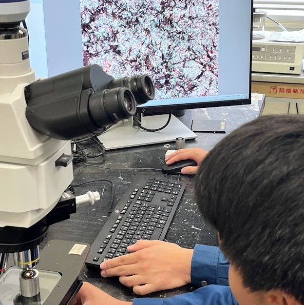 microscope