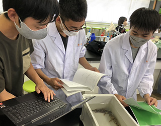 自由課題(カサゴの環境応答)実験の様子