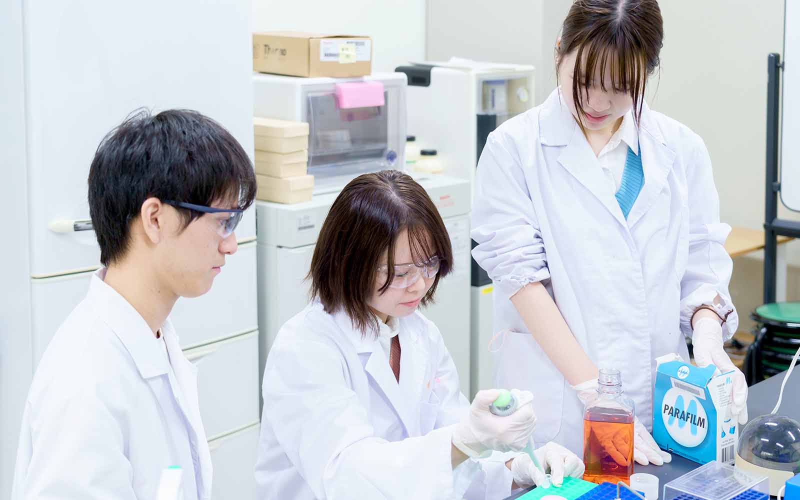 生物応用化学科