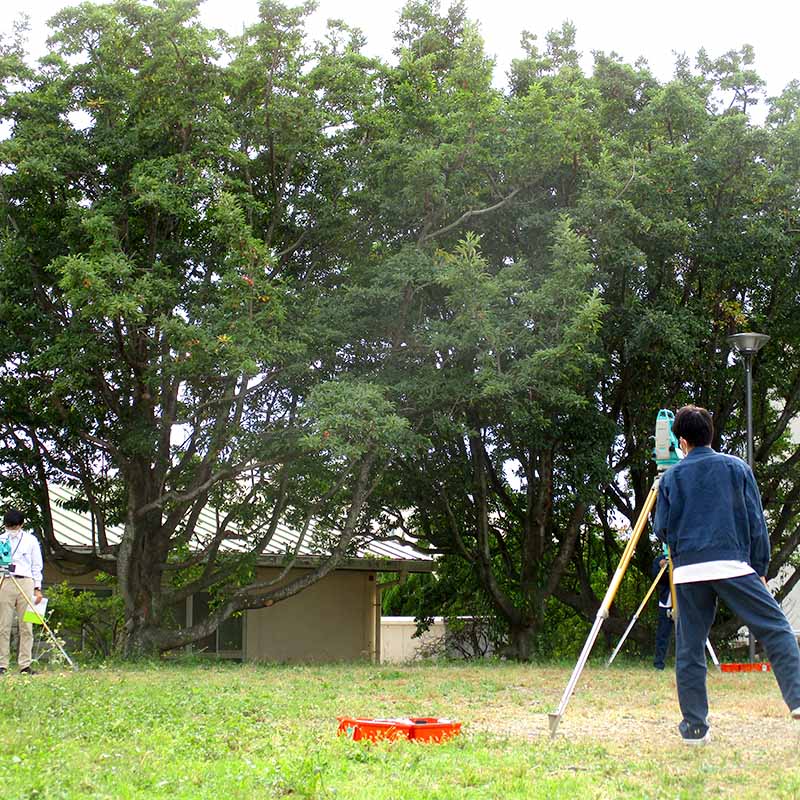 環境都市工学科