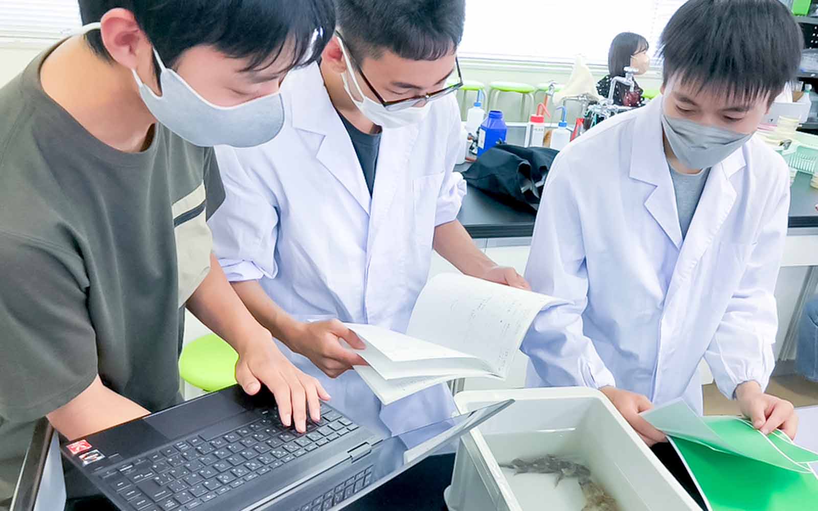 生物応用化学実験Ⅲ（自由課題実験）