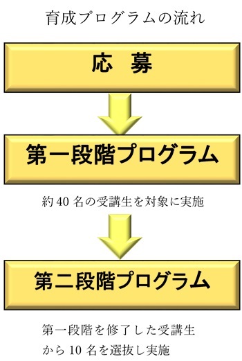 ジュニアドクター流れ